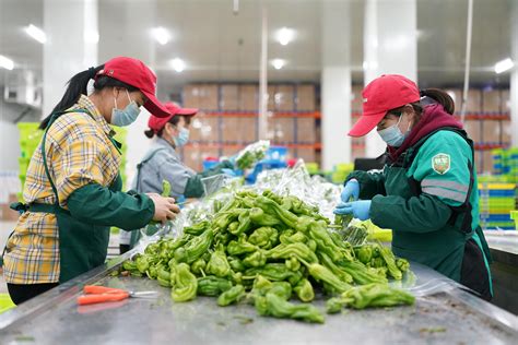 配送蔬菜公司起名大全 匯聚吉利旺財的運輸公司名字素材（深圳篇）