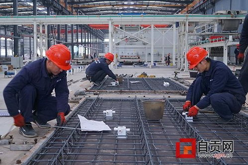 四川強(qiáng)固建科新型建材產(chǎn)業(yè)基地項(xiàng)目試生產(chǎn)啟動，為建筑材料行業(yè)注入新動能